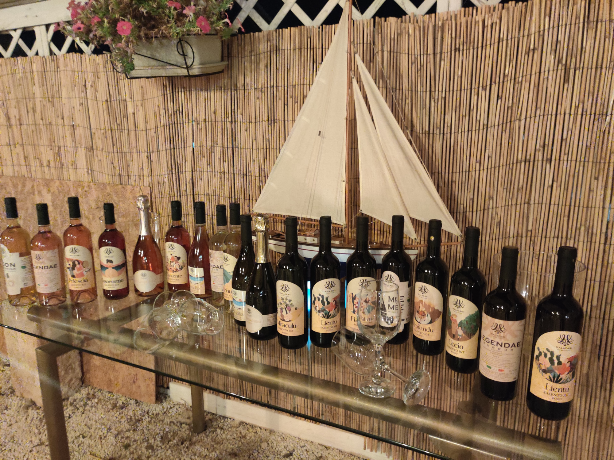 Collezione completa dei vini biologici Tenuta Sofia