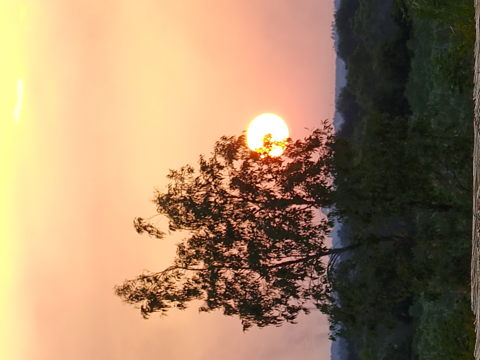 Paesaggio e percorsi nel territorio salentino
